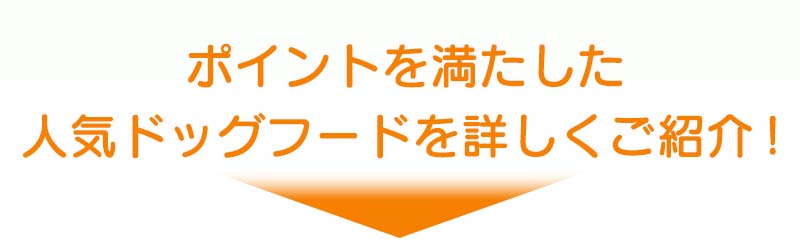 人気ドッグフードを詳しくご紹介