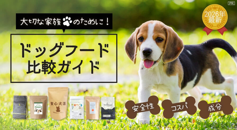 国産! 無添加! おすすめドッグフード比較ランキングガイド