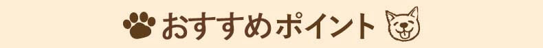 おすすめポイント