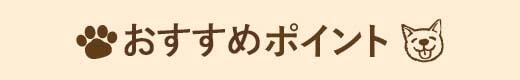 おすすめポイント
